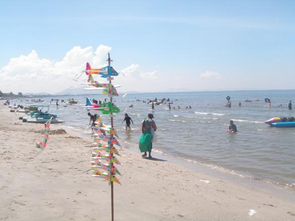 PA230054.jpg
